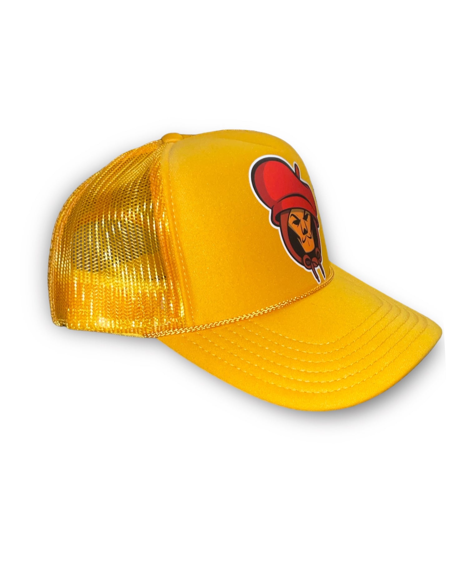 Mr Paint Logo Hat
